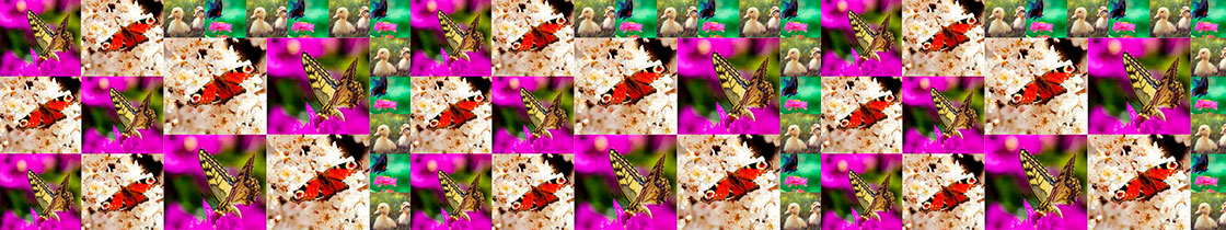Dynamic-Video-Modules-spring-Motion-Slide-Show-neoverse-qubicaamf.jpg