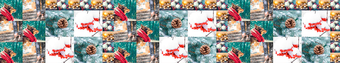 Dynamic-Video-Modules-winter-Motion-Slide-Show-neoverse-qubicaamf.jpg